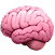 Mara Management brain emoji icon
